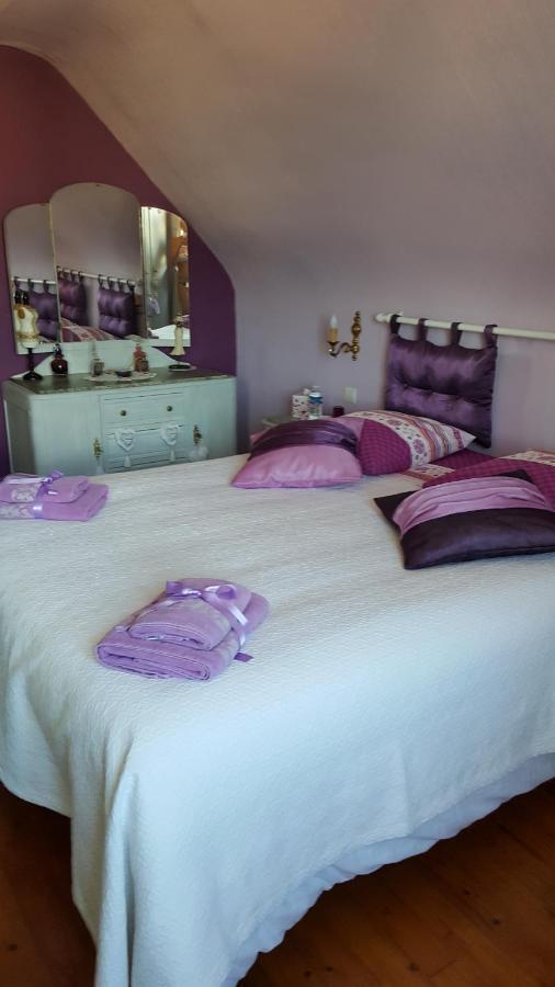Au Berceau Du Loup Agile Bed & Breakfast Offendorf Exterior photo